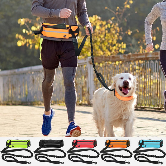Hands-Free Dog Running Leash
