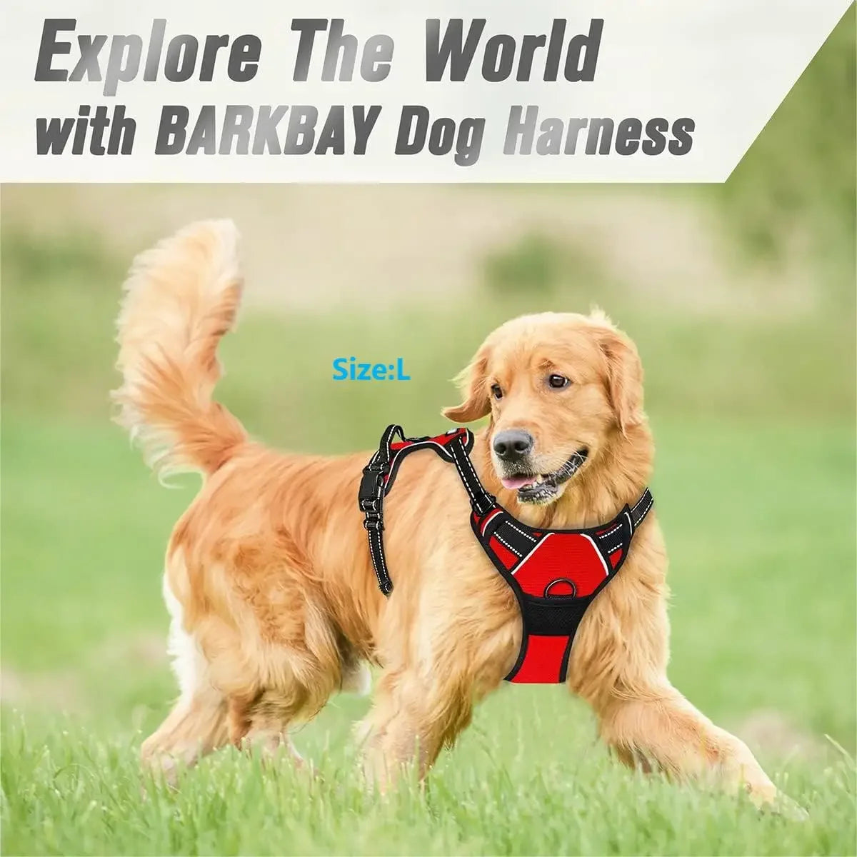 Reflective Dog Harness – Easy Control