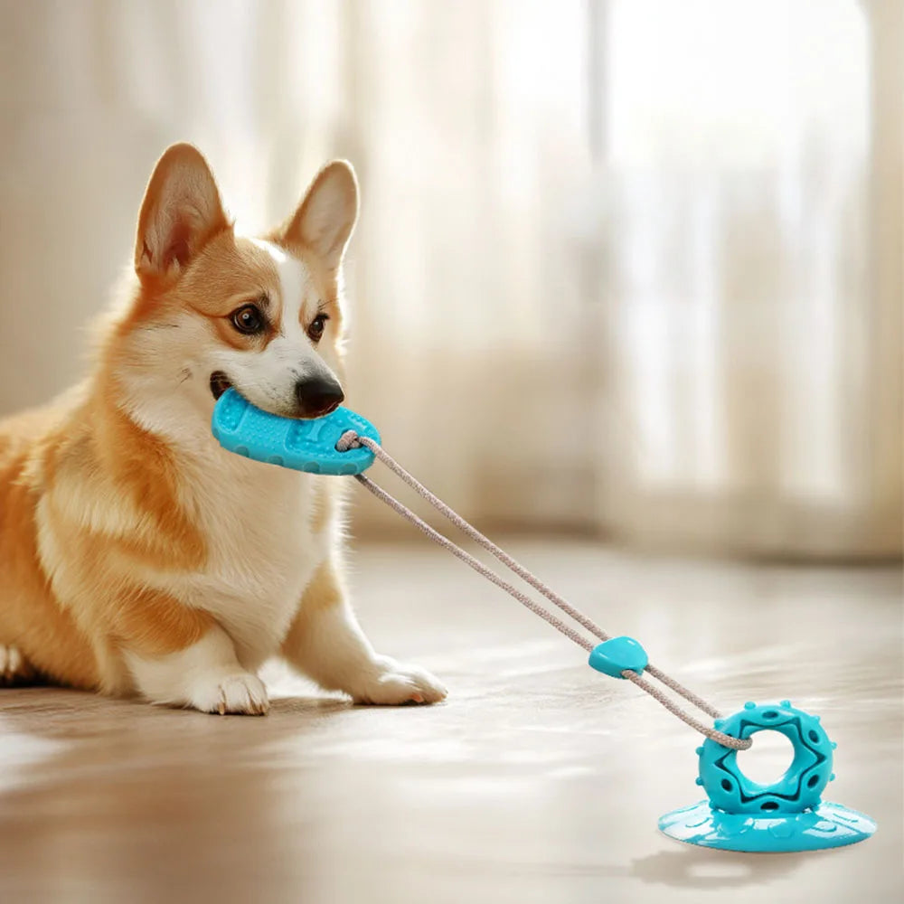 Durable Suction Cup Dog Toy