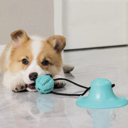 Interactive Suction Cup Dog Ball