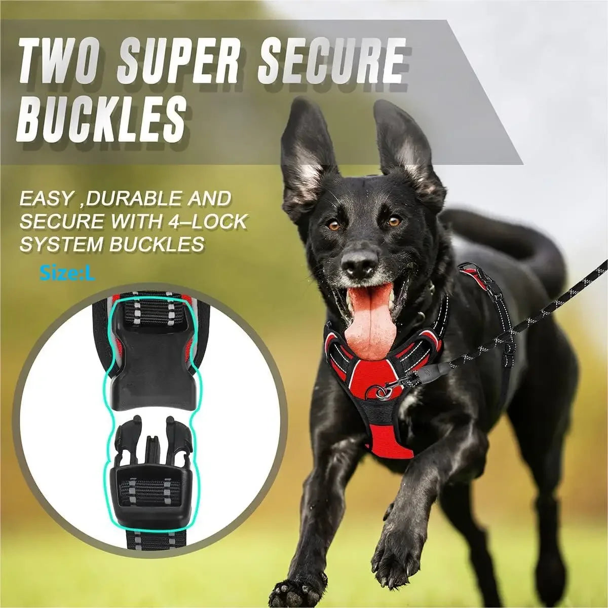 Reflective Dog Harness – Easy Control