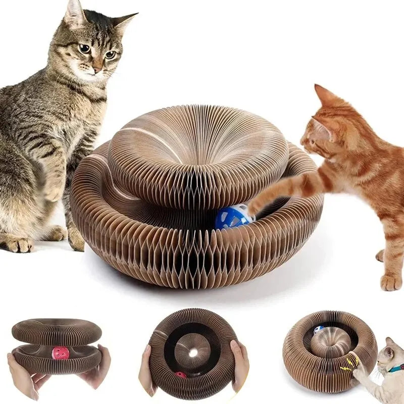 PawOrbit™ 3-in-1 Cat Scratcher & Play Ball Board