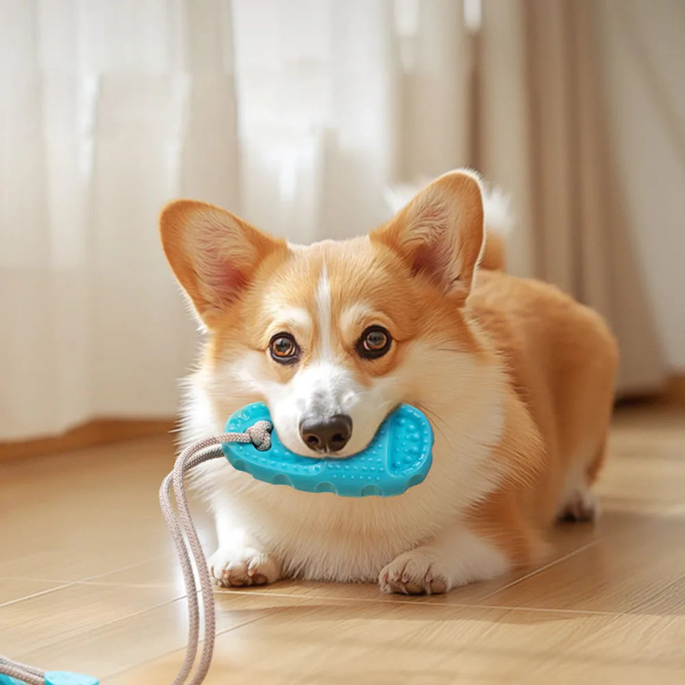 Durable Suction Cup Dog Toy