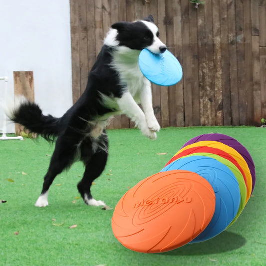 Dog Training Flying Disc