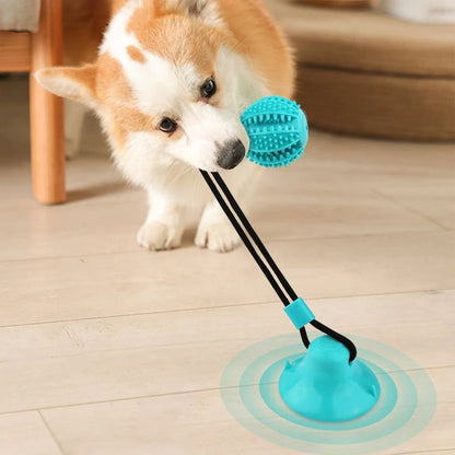 Interactive Suction Cup Dog Ball