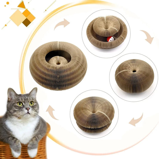 PawOrbit™ 3-in-1 Cat Scratcher & Play Ball Board